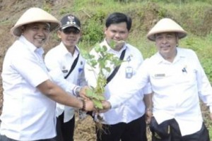 Plt Bupati Kuningan, Dede Sembada, meninjau tanaman kacang  kedelai di area lahan bekas galian pasir Desa Cibulan